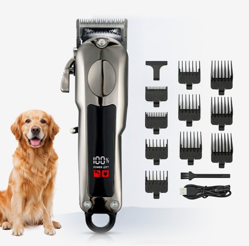Professional dog cat - dog, grooming