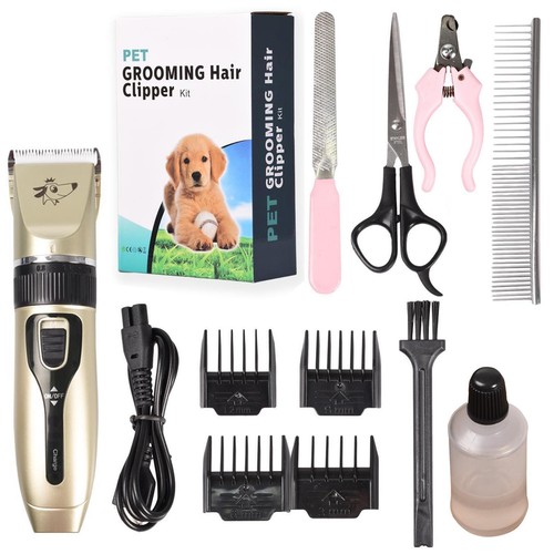 Professional pet dog grooming - pet,
