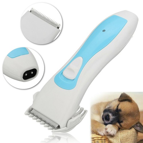 Rechargeable pet dog - dog, cat