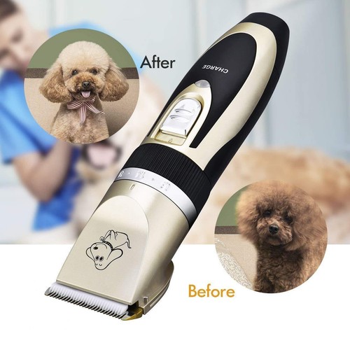 Rechargeable low noise pet - low,