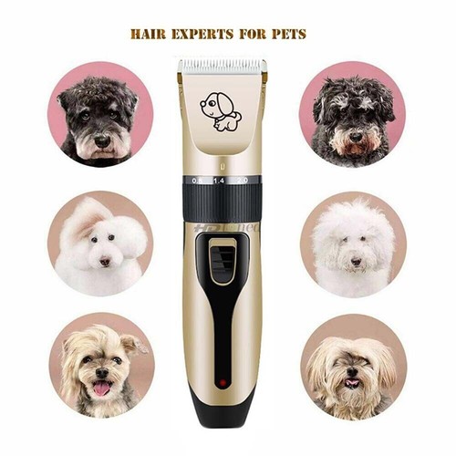 Electric pet hair clipper cat - pet,