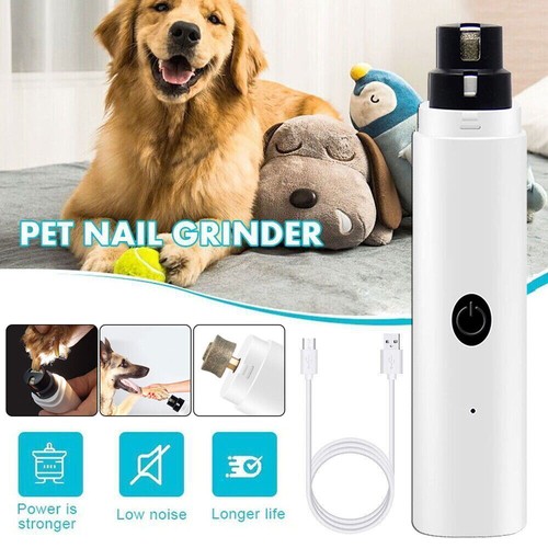 Pet cat dog - dog, hair