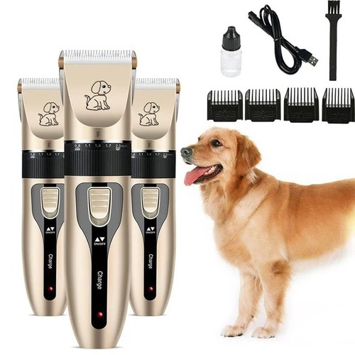 Professional dog cat hair - dog,