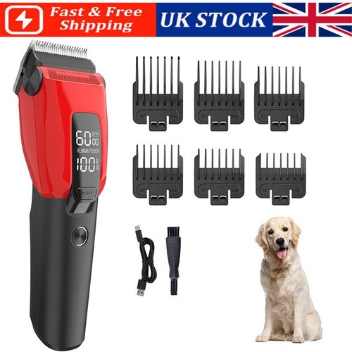 Professional pet dog - pet, grooming
