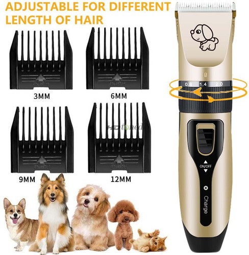Electric pet grooming - grooming, clippers